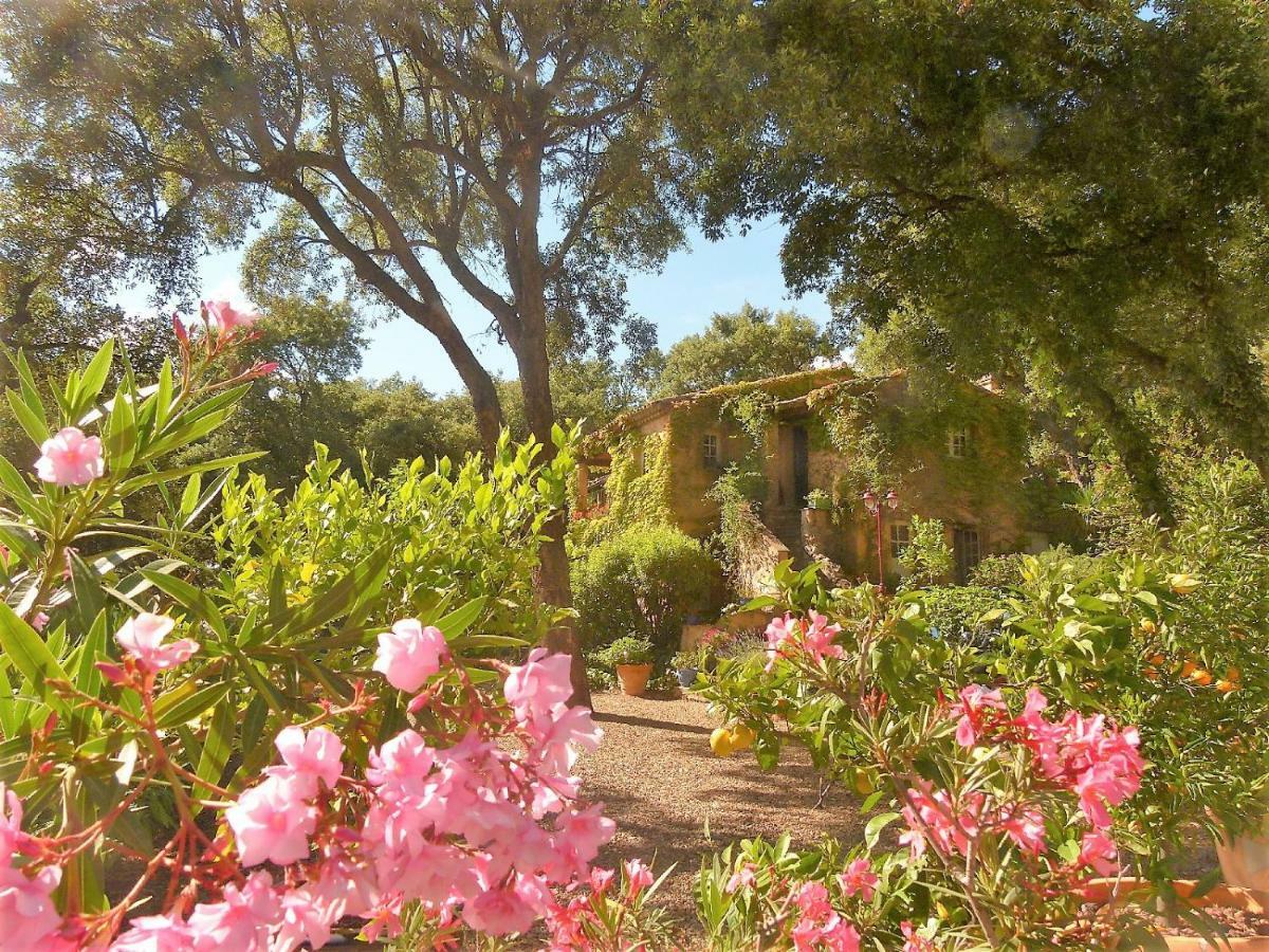 Bed and Breakfast Le Bastidon Saint-Michel Sainte-Maxime Exteriér fotografie